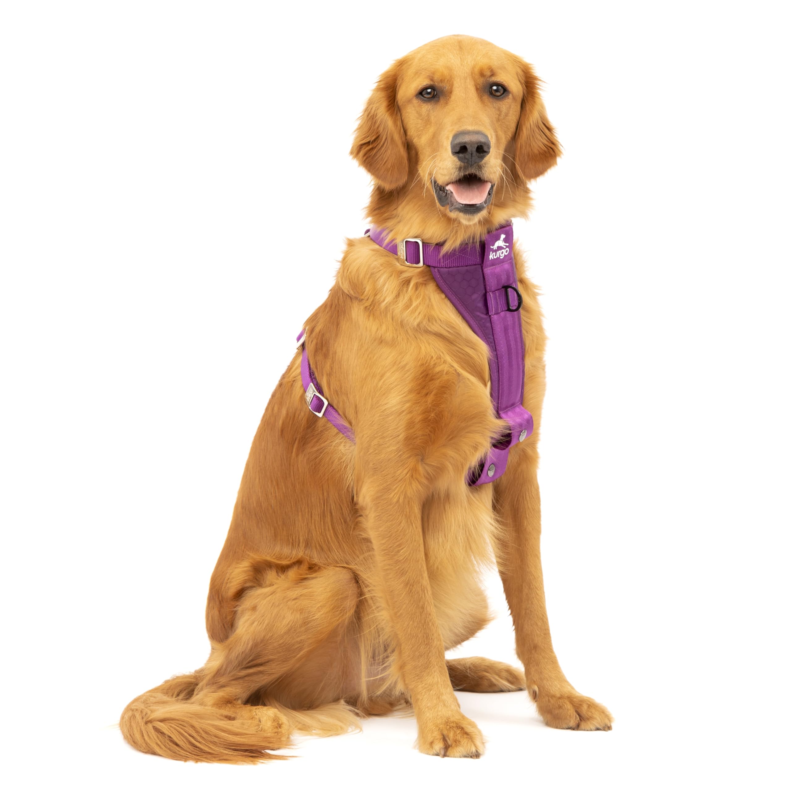Kurgo Enhanced Strength Tru-Fit Dog Car Harness - Pet Travel Safety Harness - Crash Test Certified Fit - Five Point Adjustment - Secure Buckle - Padded Chest - Deep Violet - Large