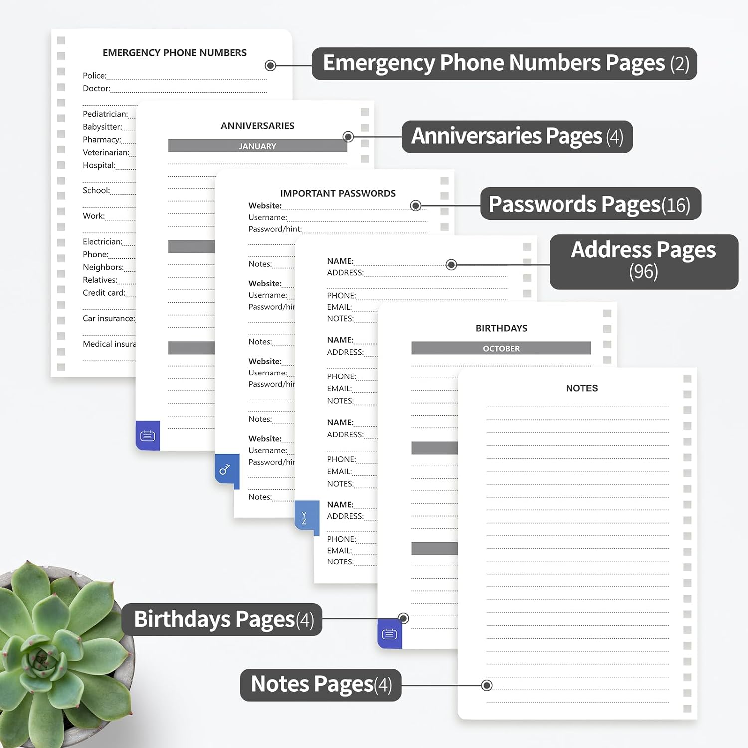Address Book with Alphabetical Tabs, Large Print for Seniors 5.7x7.7