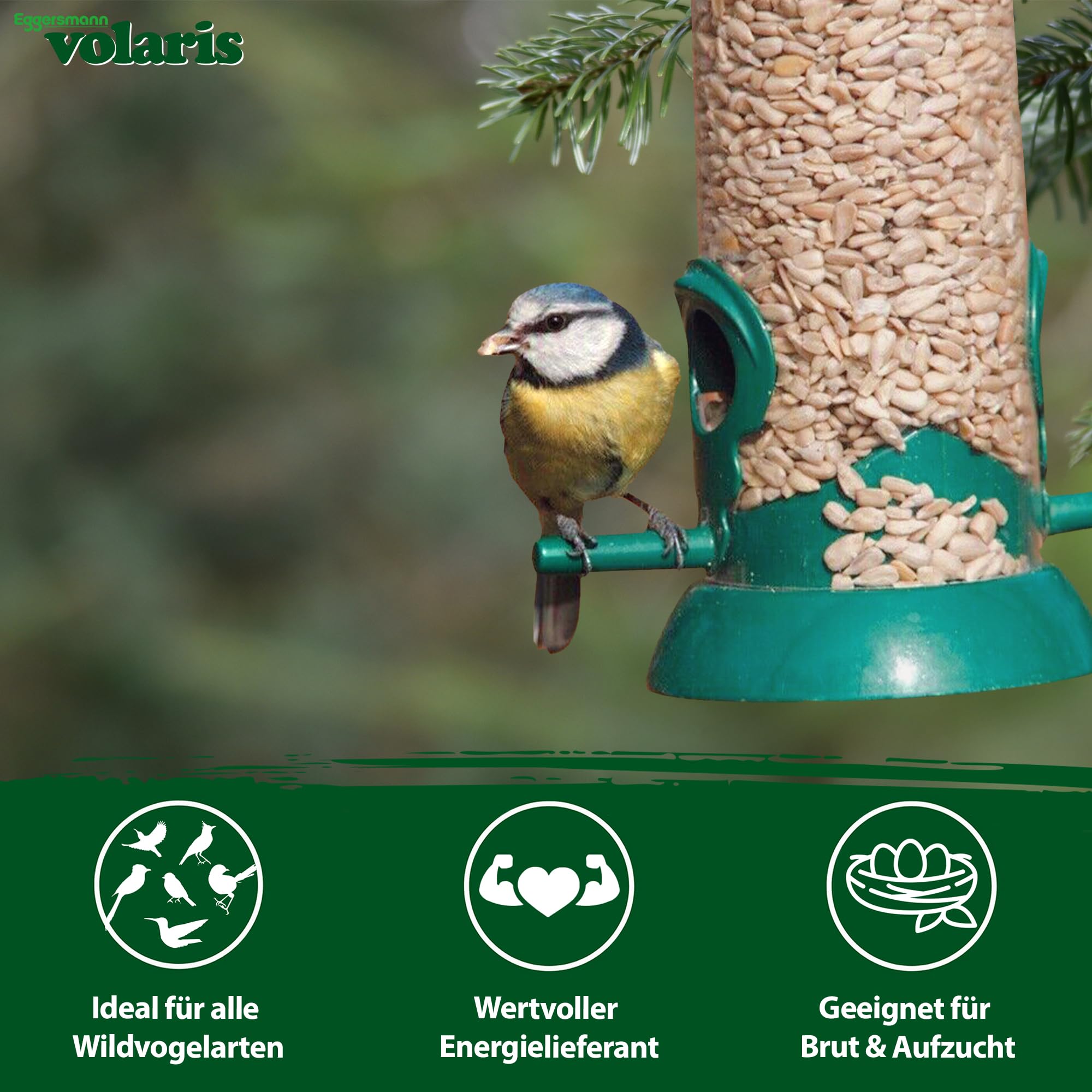 Eggersmann volaris Semi di girasole, mangime per uccelli, 25 kg [sbucciato] | Mangime per uccelli selvatici di alta qualità per tutto l'anno: semi di girasole sbucciati ricchi di grassi ed energici