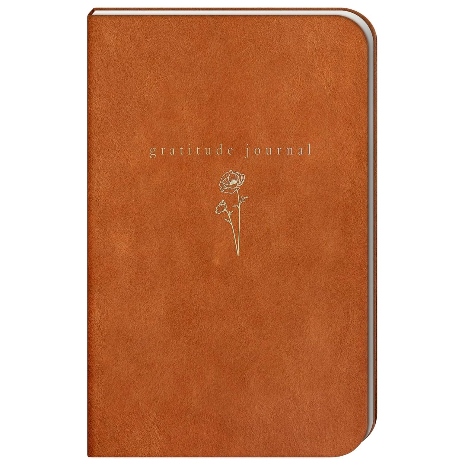 Gratitude Journal for Women and Men - With Writing Prompts for Self Care, Improvement and Manifestation - Daily Wellness and Guided Mental Health - 5 Minutes a Day - Inspirational to Practice Self Love and Reflection - Image 8