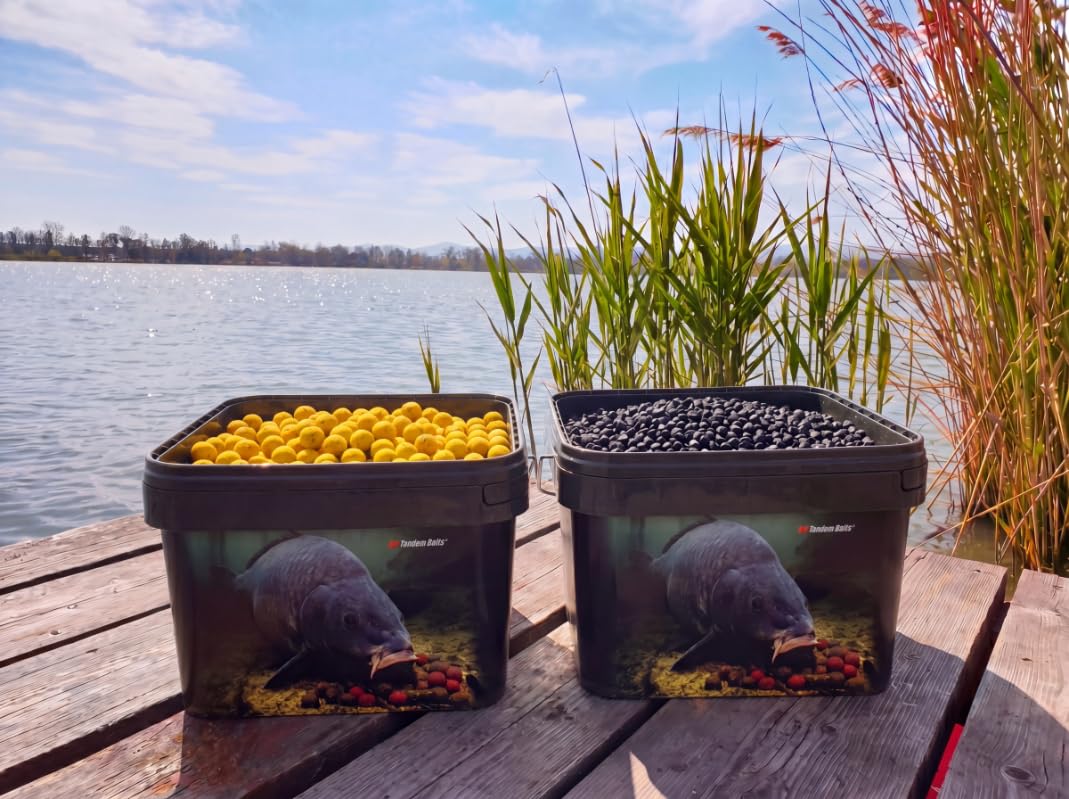 Tandem Baits Seaux de Pêche Carpe avec Couvercle 10l