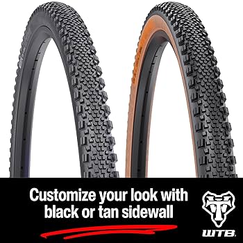 Amazon.co.jp: WTB Raddler 40 x 700 TCS Light/Fast Ring