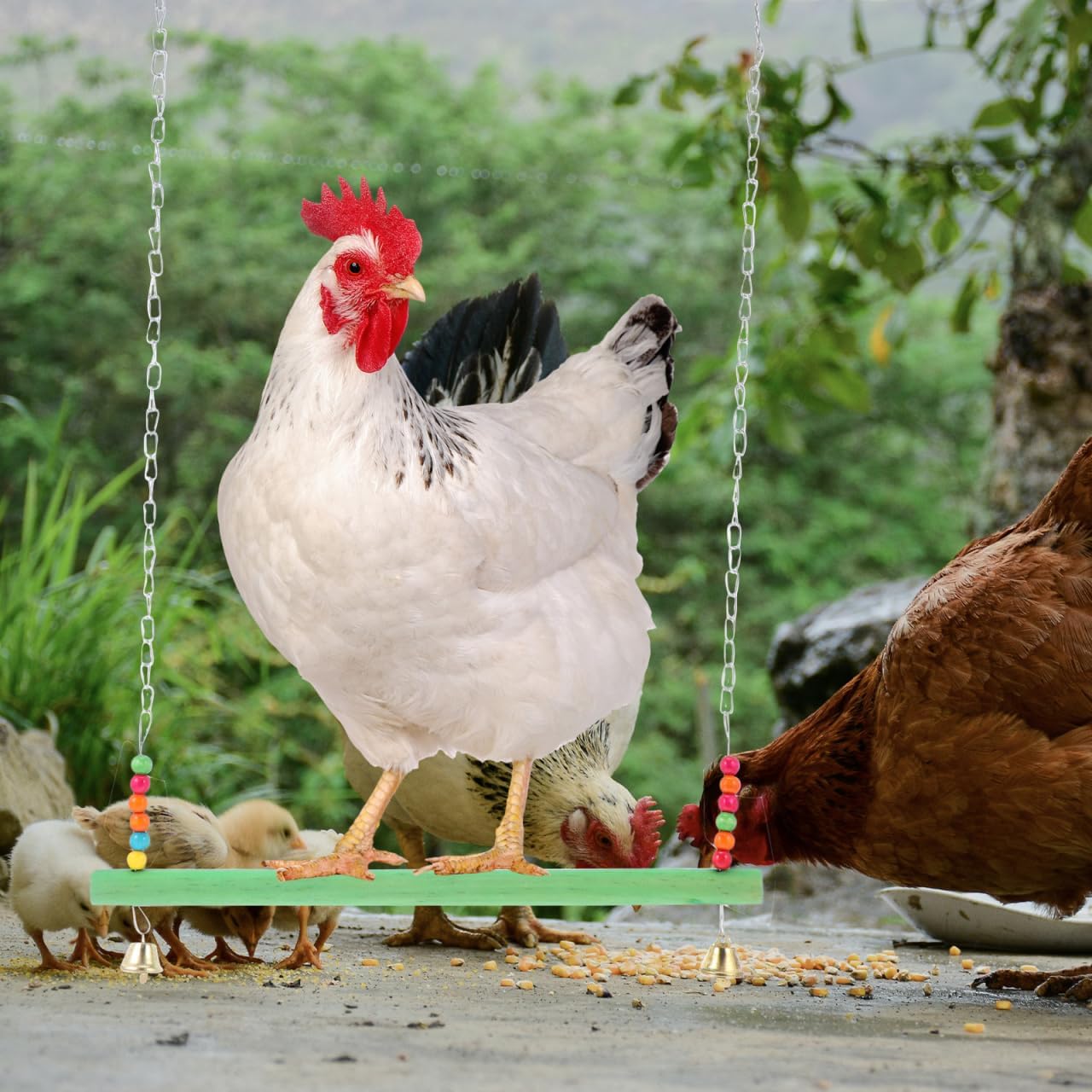 Garneck Chicken Swing and Ladder Wooden Climbing Frame for Hens and Roosters Pet Coop Toy Poultry Rack Bird Perch Accessory