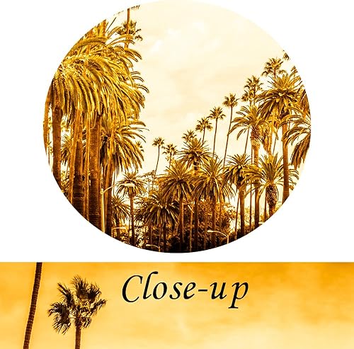 Miniatura 5 de KREATIVE ARTS 3 impresiones en lienzo para pared, diseño de palmera en estilo retro, paisaje urbano de Los Ángeles, imagen moderna para decoración