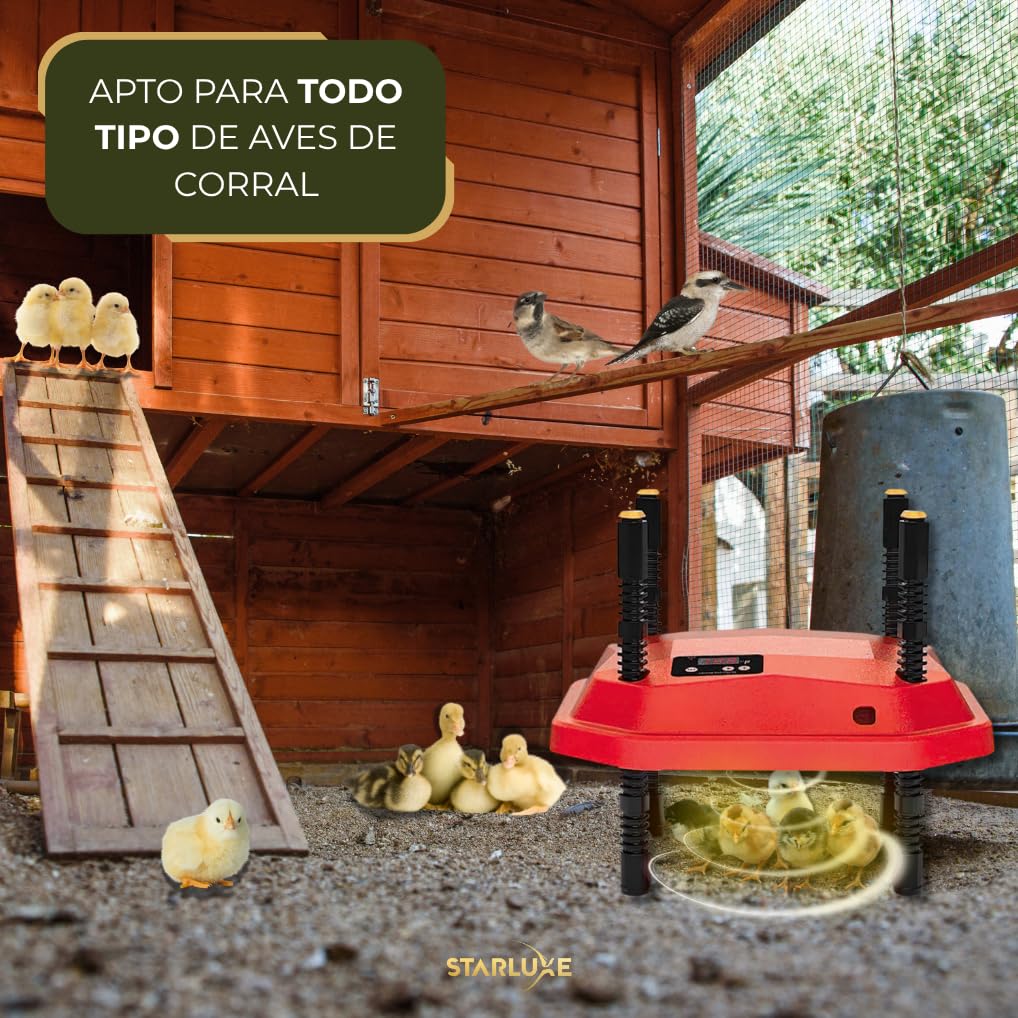 Incubadoras De Pollo - Incubadoras Pollo - Criadoras De Pollitos - Criadora De Pollitos - Lampara De Calor Para Pollitos - Incubadoras Para Pollos - Bombilla Calor Pollitos - Lampara Para