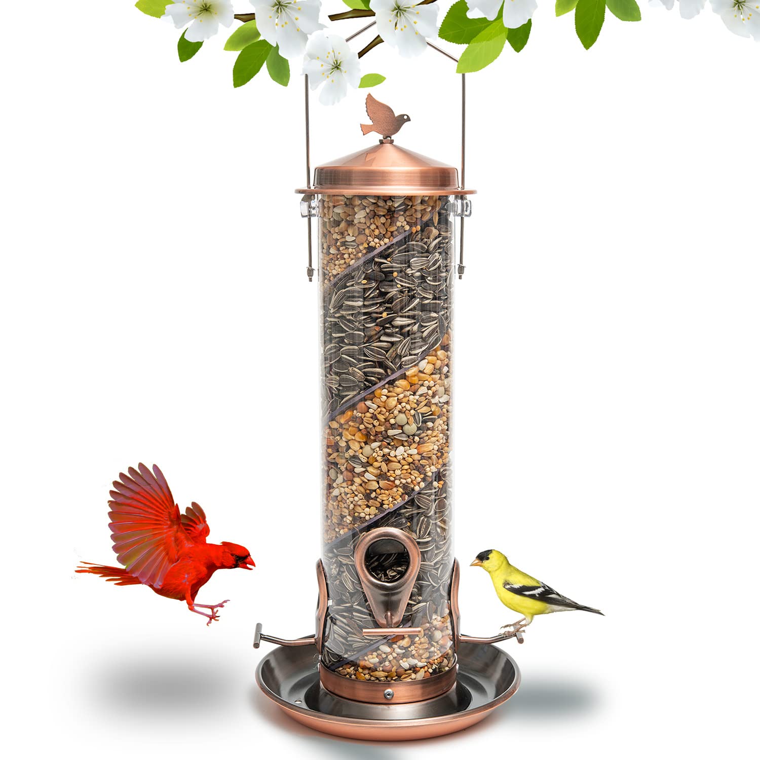 Spiral Bird Feeder with 2in1 Feeders for Outside. Includes Free