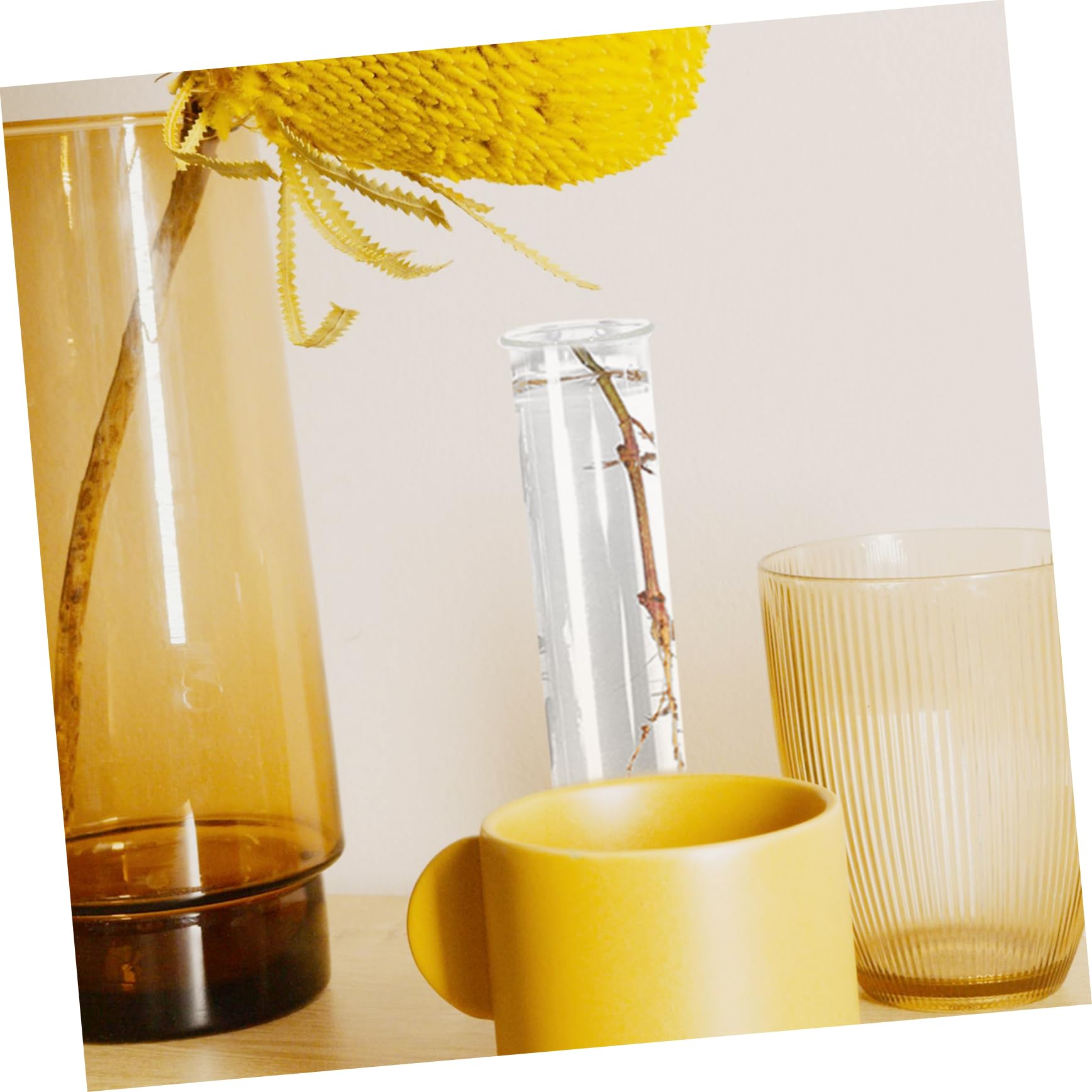 12pièces Vase Verre Hydroponique Transparent De Tubes De Propagation pour Plantes Décoration Moderne De Bureau Et Maison pour Arrangement Floral Et Culture De Plantes Aquatiques