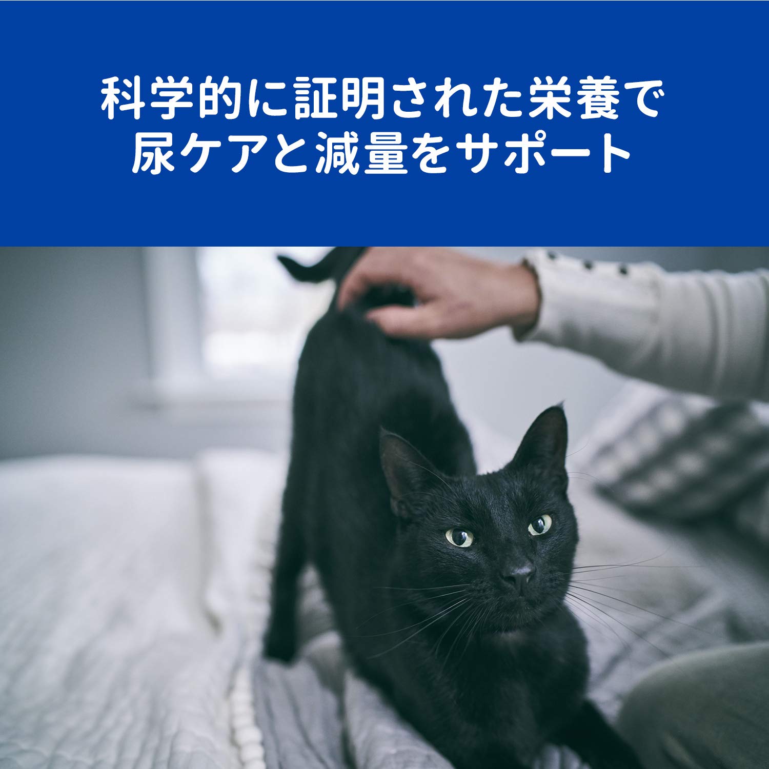 Amazon.co.jp: 【療法食】 プリスクリプション・ダイエット