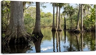 Large Canvas Wall Art florida everglades cypress tree swamp pictures royalty Canvas Prints Framed Painting Modern Artwork Abstract Stretched Poster Home Decoration Unique Gift 20"x40"