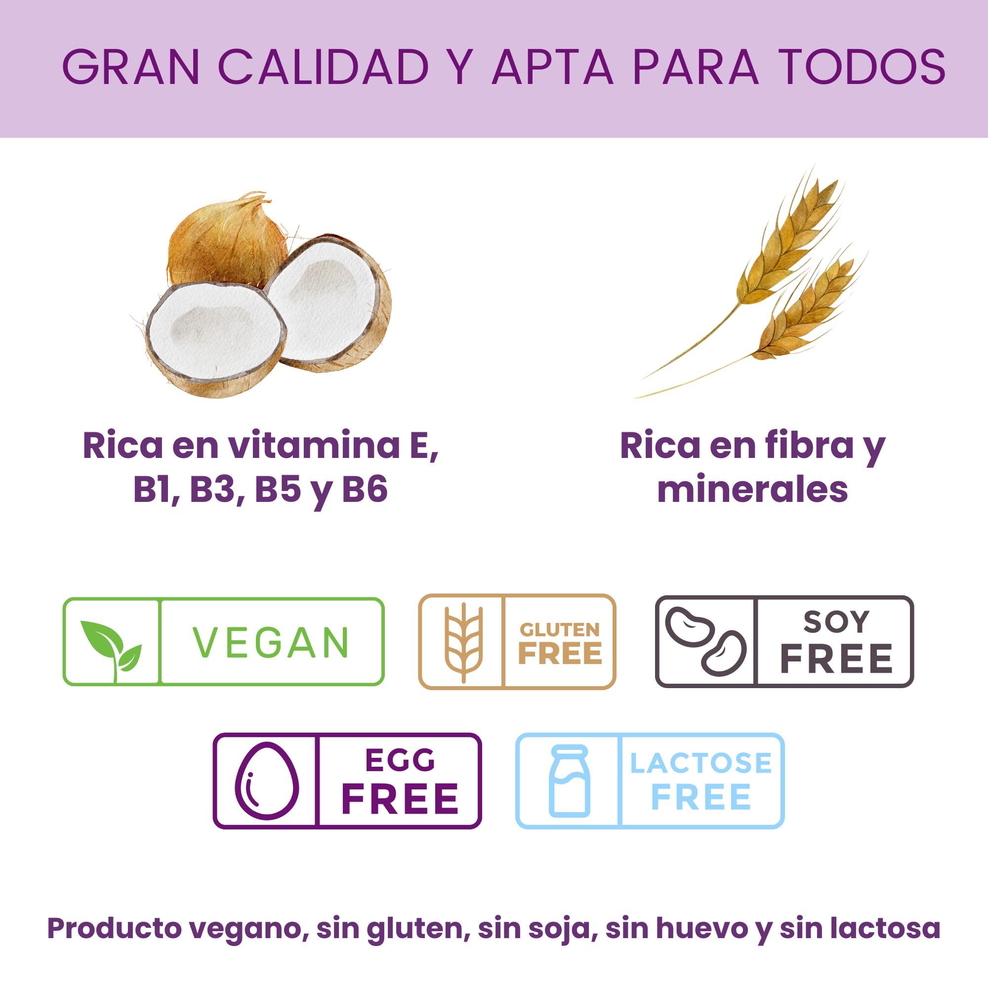 Leche de coco en polvo natural sin gluten sin azúcar sin sal vegana 500 g