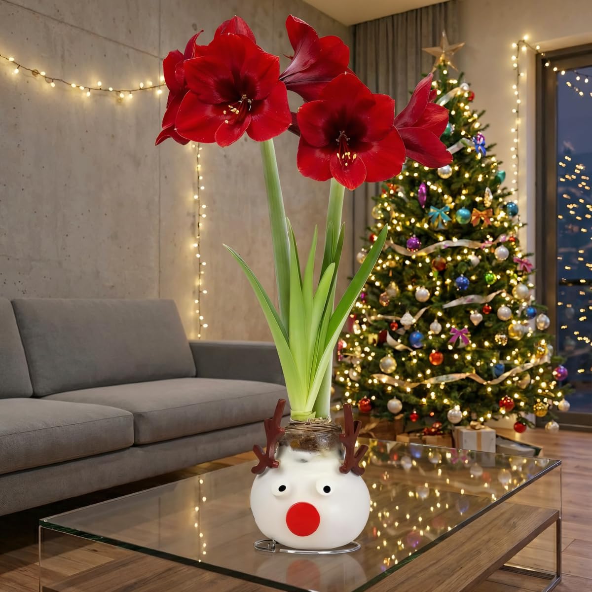 Bulbe D'Amaryllis En Cire Décoré Sapin De Noël - Pousse Sans Eau Ni Terre - Décoration Florale De Fêtes, 15-25 Cm