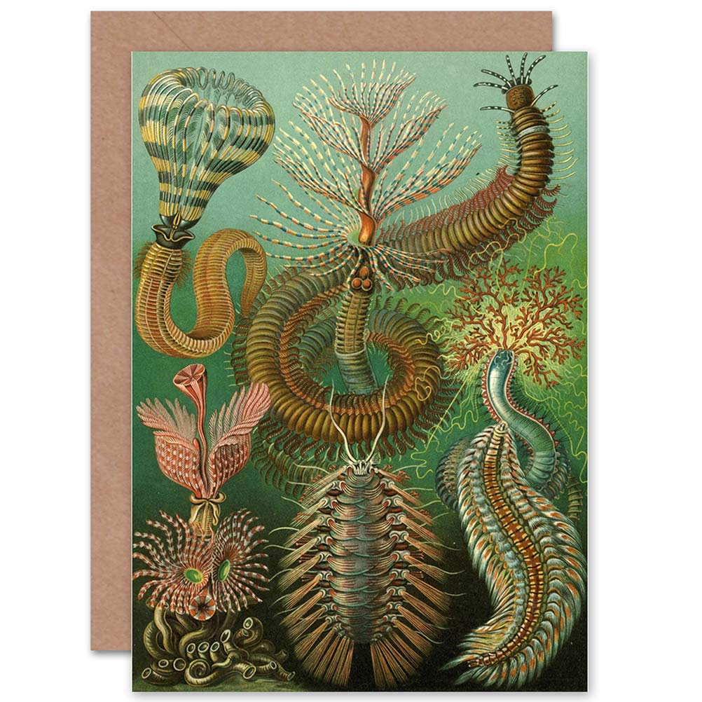 Wee Blue Coo NATURE BIOLOGY ERNST HAECKEL GERMANY BIRTHDAY BLANK GREETINGS CARD