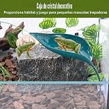 Ver la foto 6