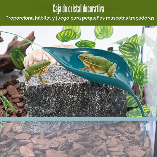 Foto 6 de 7 de Betta Bed - Hamaca de hojas, 3 piezas de plástico con ventosa para peceras pequeñas, reptiles, dragones…