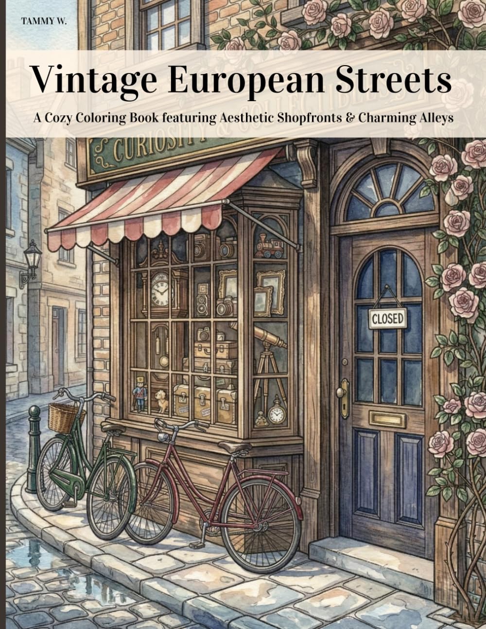 Vintage European Street Scenes: A Cozy Collection of Old Town Streets and Architectural Details