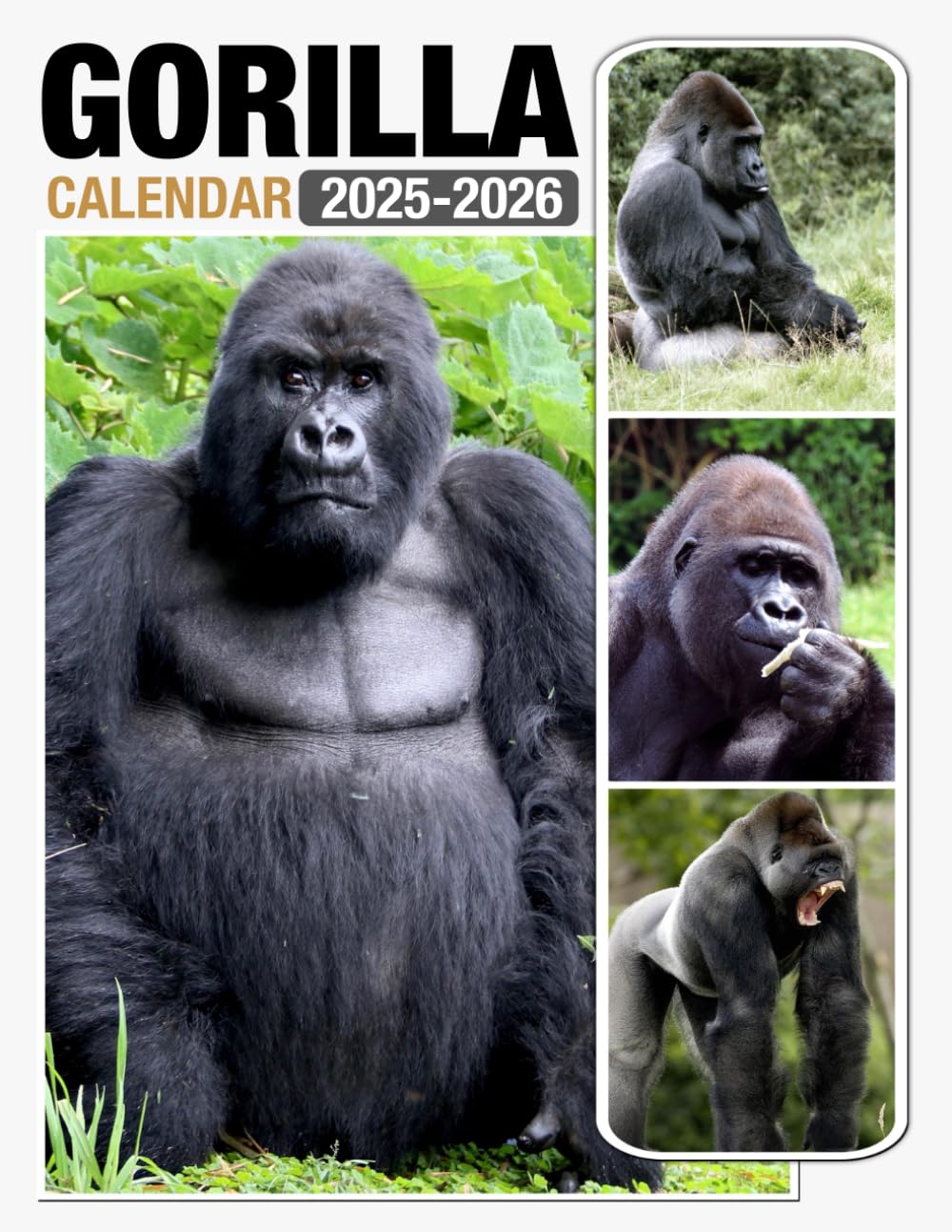 Amazon | Gorilla Calendar 2025 - 2026: Spread Joy and Stay