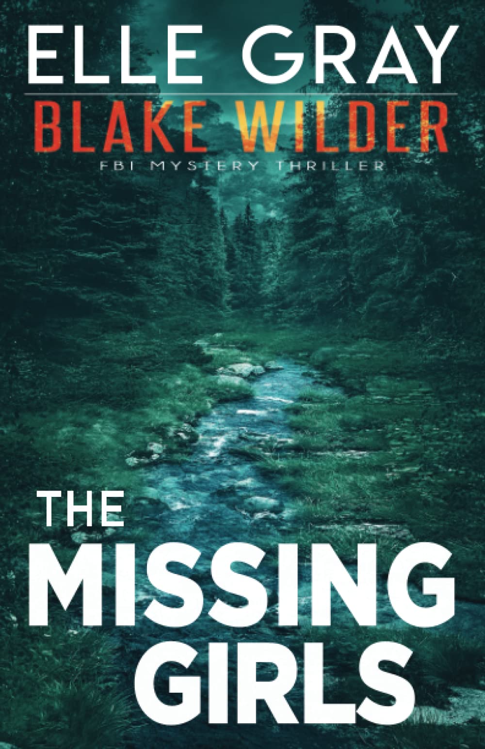 The Missing Girls: 12 (Blake Wilder FBI Mystery Thriller)