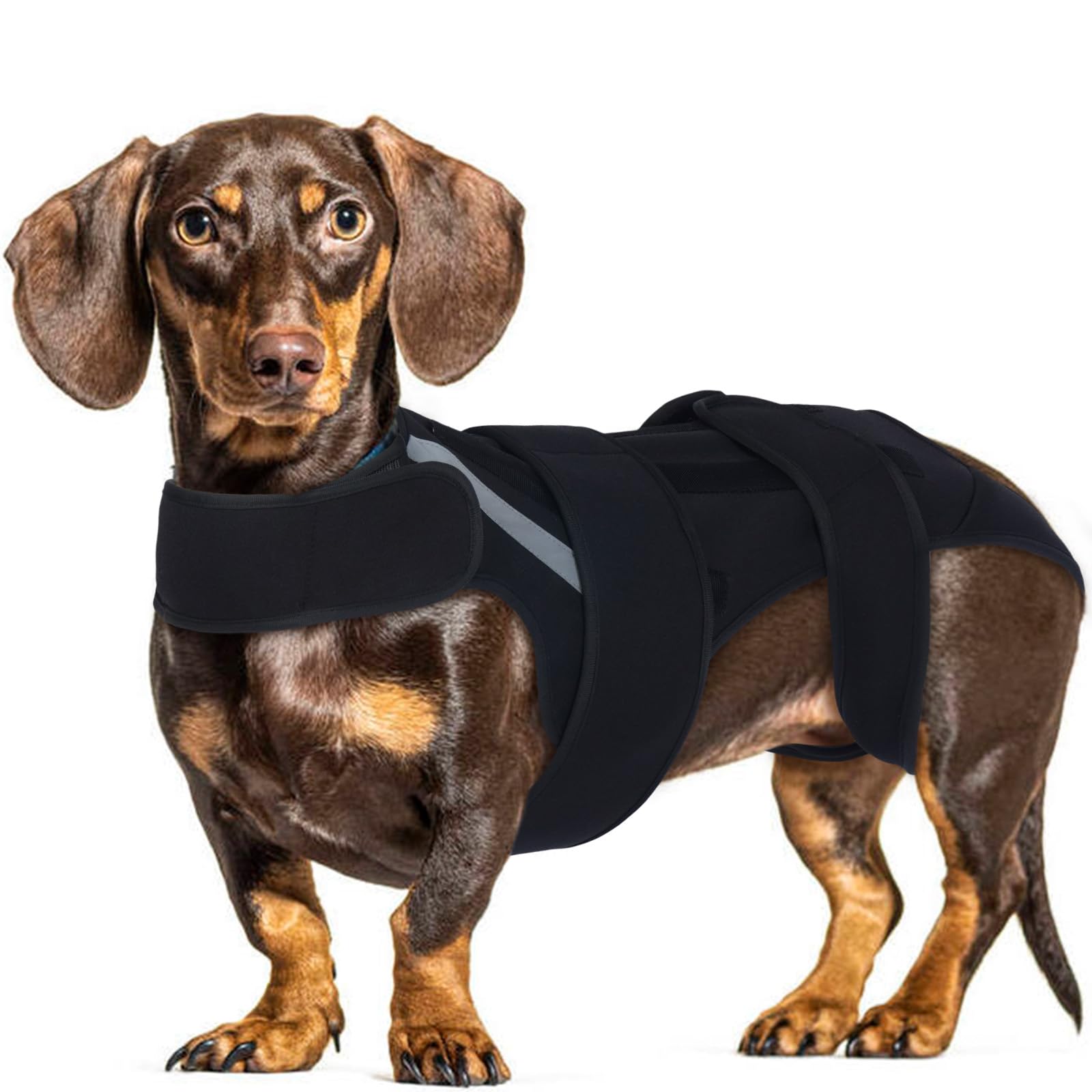 Hjyokuso Dog Back Brace S, Adjustable Spine Support Vest for IVDD Slipped Disc, Herniated Disc, Arthritis
