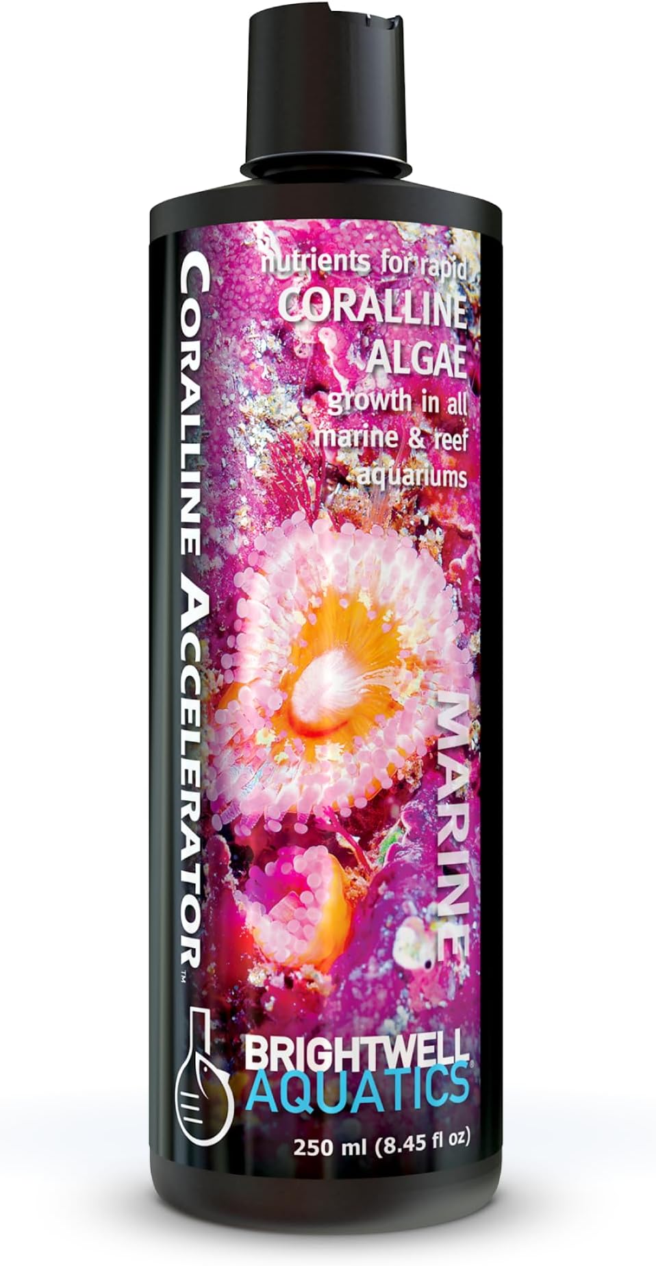 Brightwell Aquatics - Coralline Accelerator - Multi-Nutrient Supplement for Coralline Algae Growth in Marine and Reef Aquariums - Aquarium Water Treatments, 8.45 fl oz