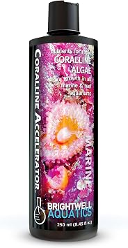 Brightwell Aquatics Coralline Accelerator Coralline Supplement, 250 ml