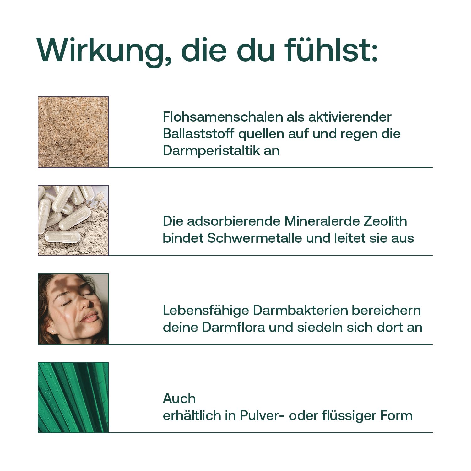 SIMPLE CLEAN - Sanfte Darmreinigung und effektive Entwicklung der Darmflora mit Natural Detox Zeolith, Combi Flora SymBIO und Psylliumschalen (4-Wochen-Darmkur)