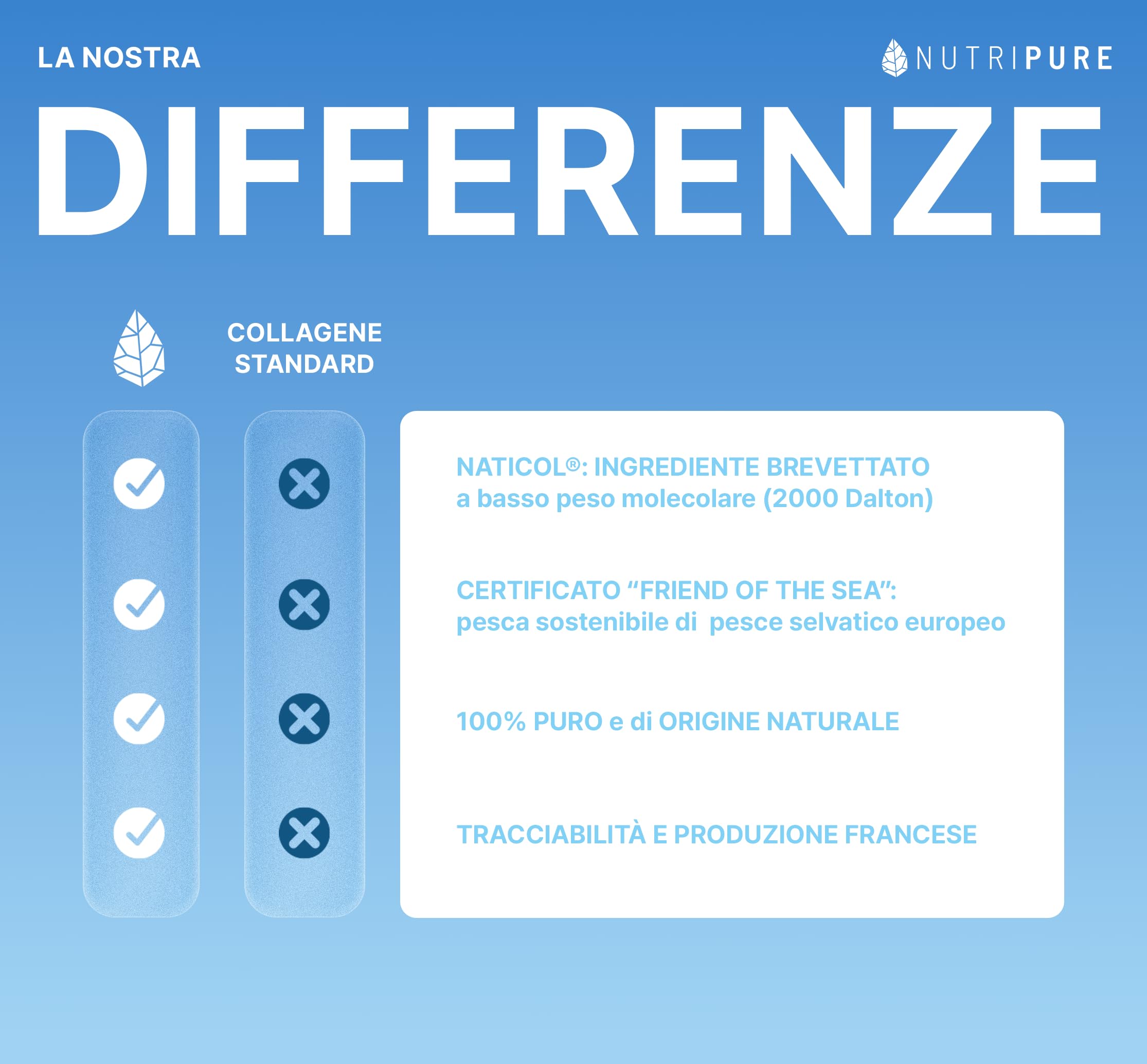 Collagene Marino Selvatico in Polvere | Integratore Alimentare Articolazioni, Capelli, Unghie e Pelle | Collagene Marino Idrolizzato | Barattolo 1,2 kg| 4 mesi | Gusto neutro | Prodotto in Francia
