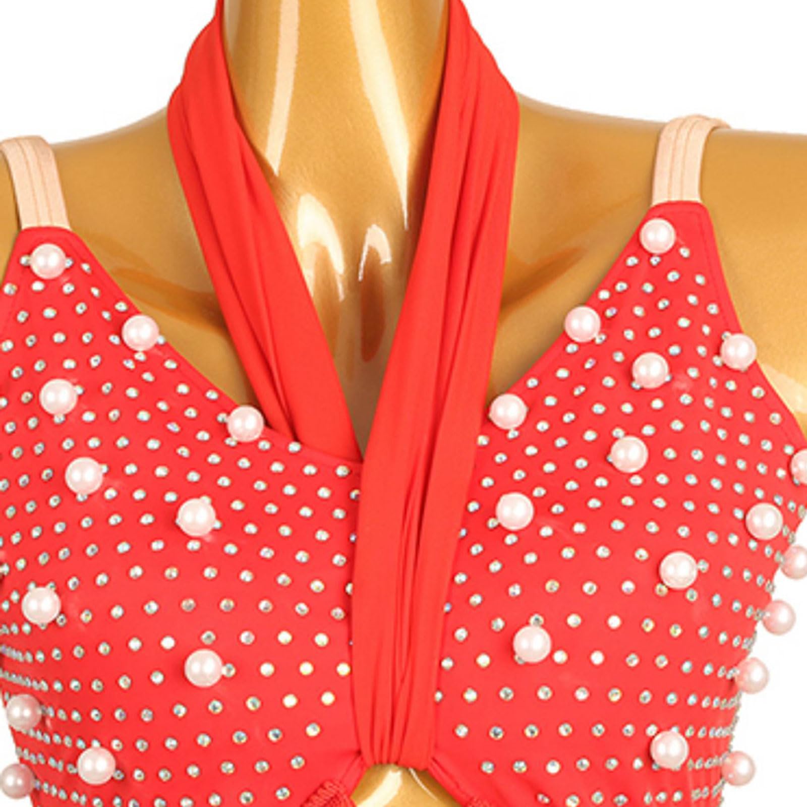 Damen Lateinrock Ballsaal Tanzkleid Hängende Nackenträger Wettbewerbskleidung Ärmellos Quasten Tanzrock Rumba Samba Cha Cha Tanzkleidung