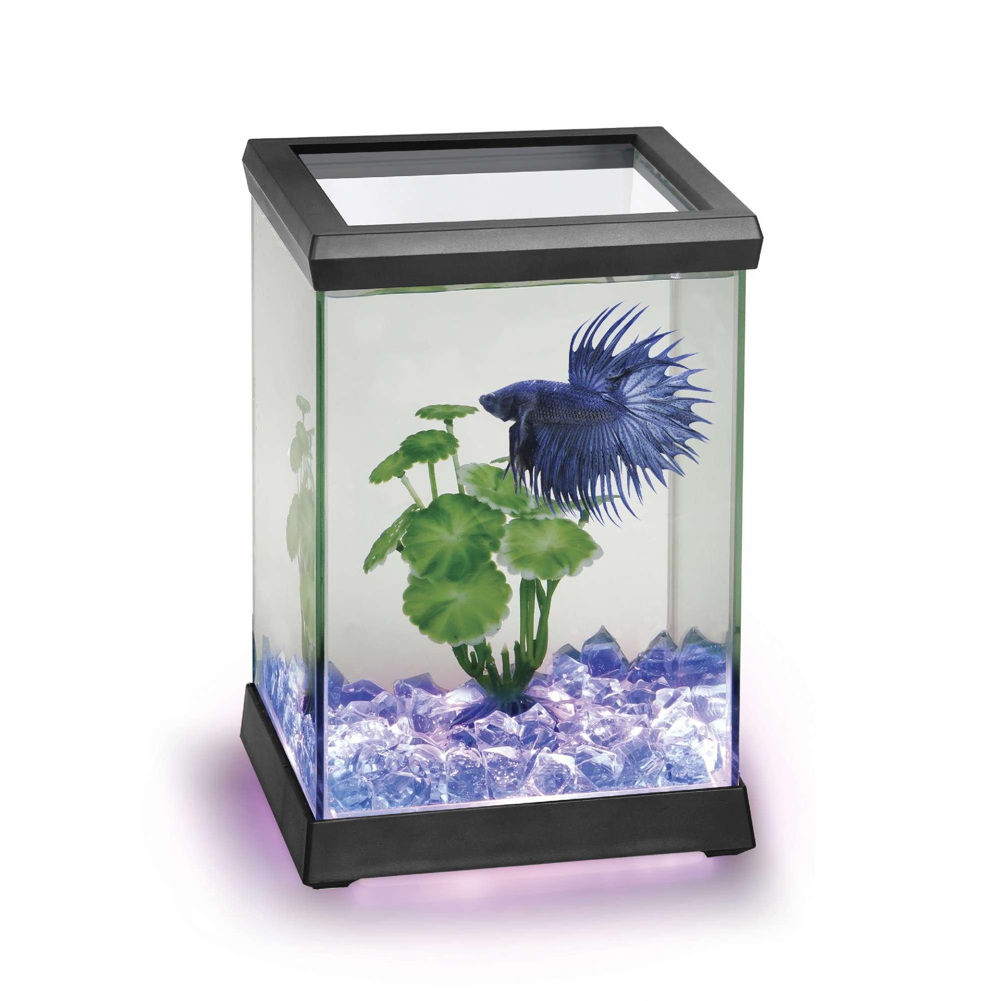 Ocean Free AT619A Kit Betta Space Led, Nero