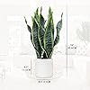 Product Photo 7