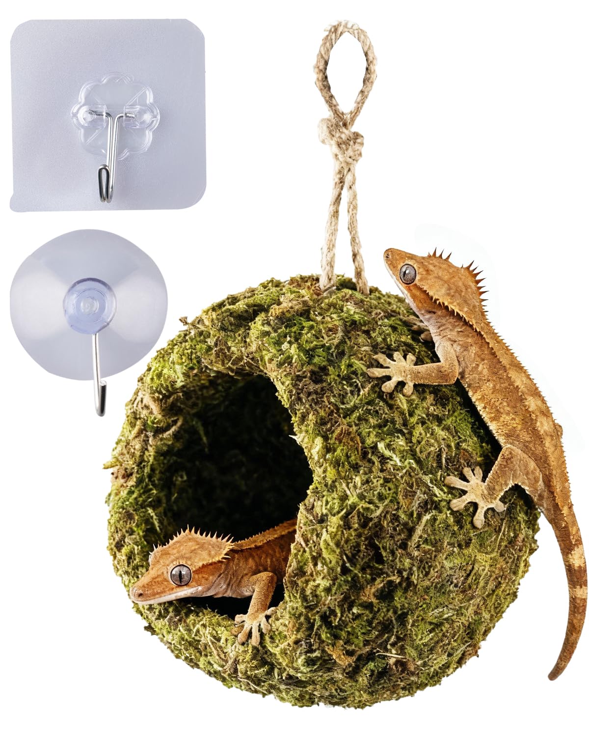 ORBIDYN Handmade Crested Gecko Tank Accessories - habitat decor | Mubboo