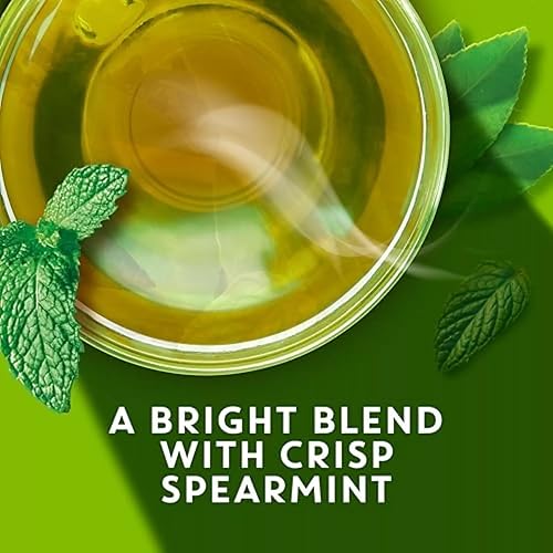 Miniatura 3 de TAZO Bolsas de té, té verde, té zen orgánico regenerativo, 36 unidades