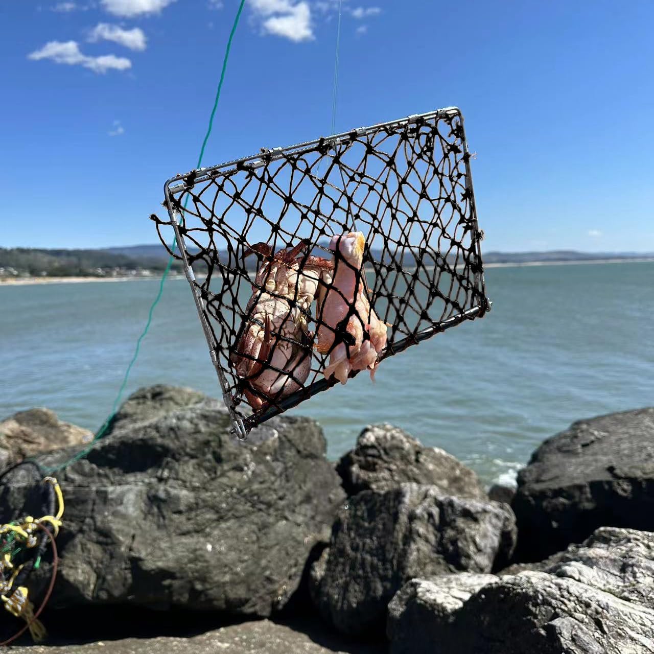 Palmyth Castable Crab Trap Hawk Foldable Crabjaw with Crab Gauge and Bait Clip