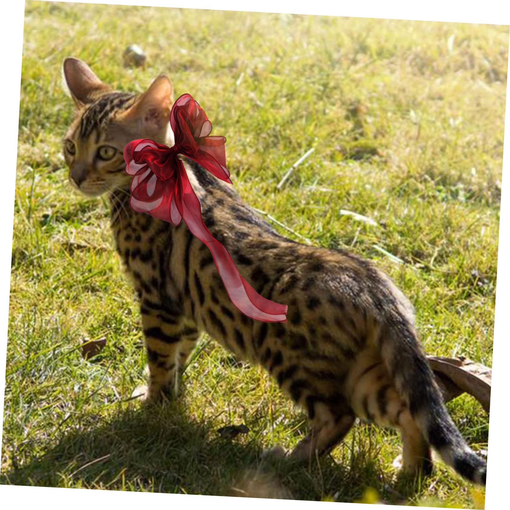 Kisangel Collier De Luxe pour Chat Nœud Collier Décoratif pour Chaton Accessoire Photo De Fête pour Animaux De Compagnie Ajustement