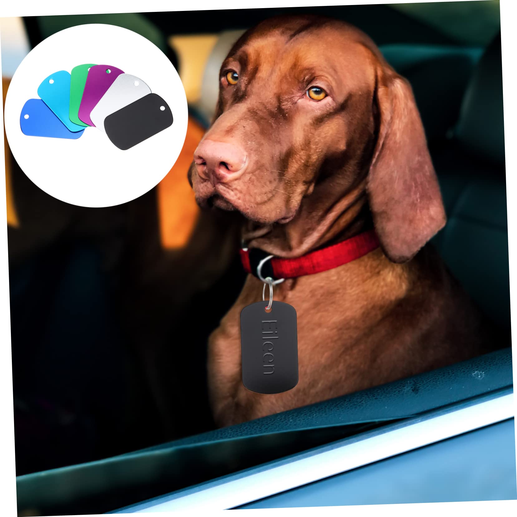 Angoily 96stücke Blanko Hundemarken Aus Legierung Personalisierbare Haustier-erkennungsmarken Für -projekte Für Hunde Katzen Und Andere Kleine Haustiere