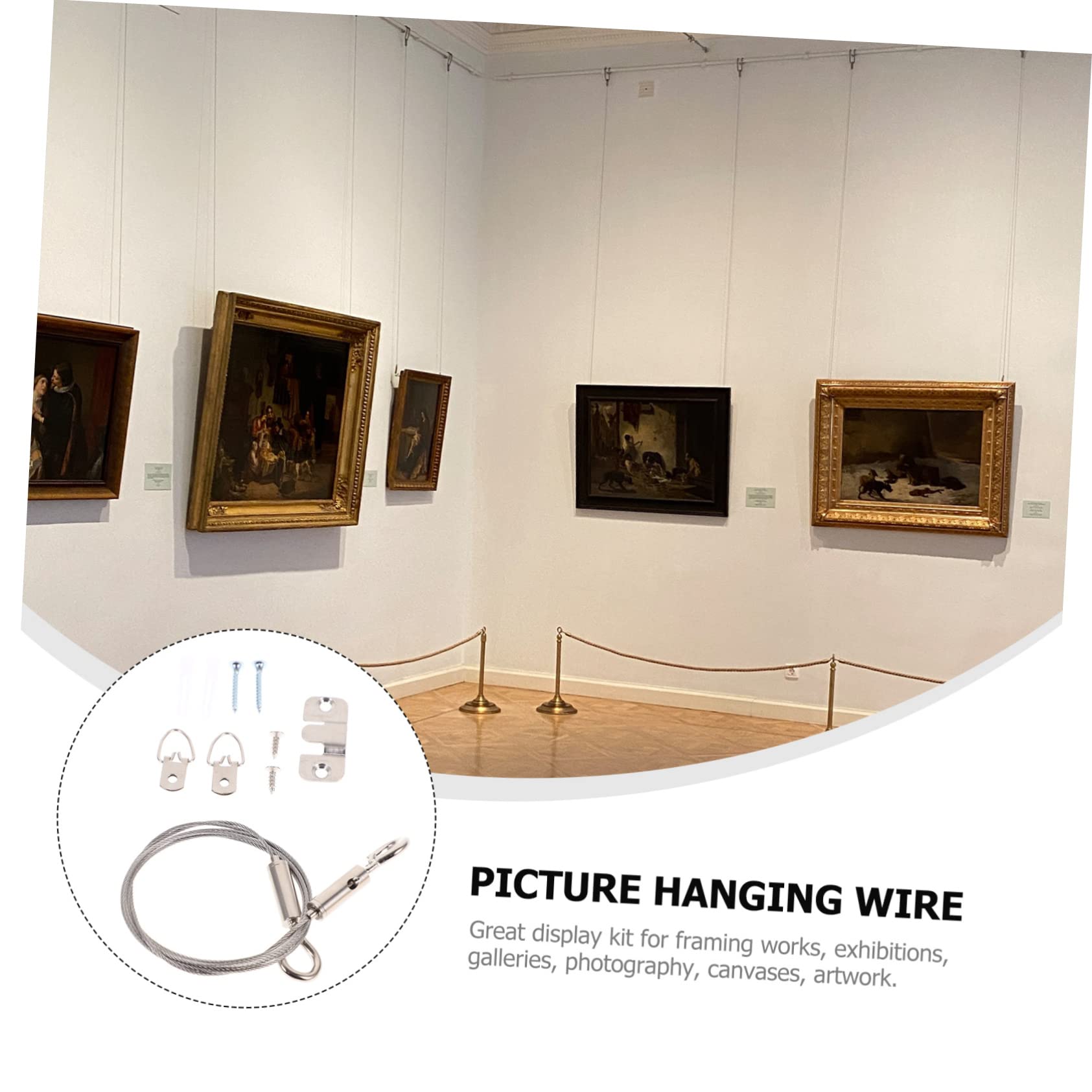 Hemobllo 4sets Kit Di Filo Per Appendere Immagini Inossidabile Per Foto e Decorazioni Resistente e Facile Da Installare Per Progetti Artistici e Decorazioni Murali