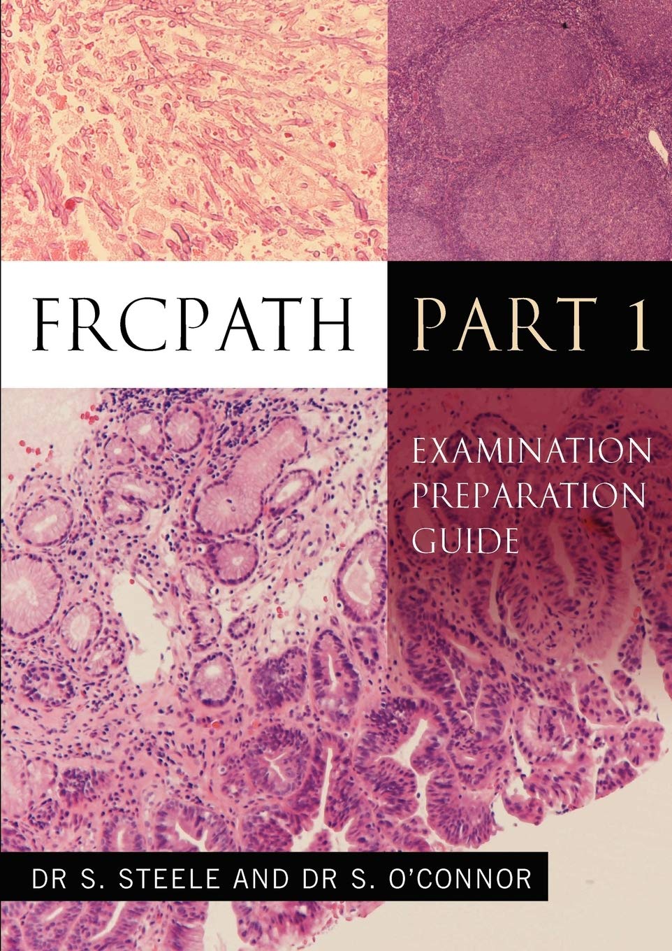 Academic Medical Press (Division of Academic Medic FRCPath Pt1: Examination Preparation Guide