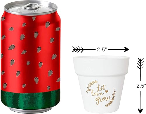 Miniatura 3 de Let Love Grow Macetas para suculentas de 2.5 pulgadas, 20 macetas pequeñas de arcilla blanca de terracota para recuerdos de suculentas, baby