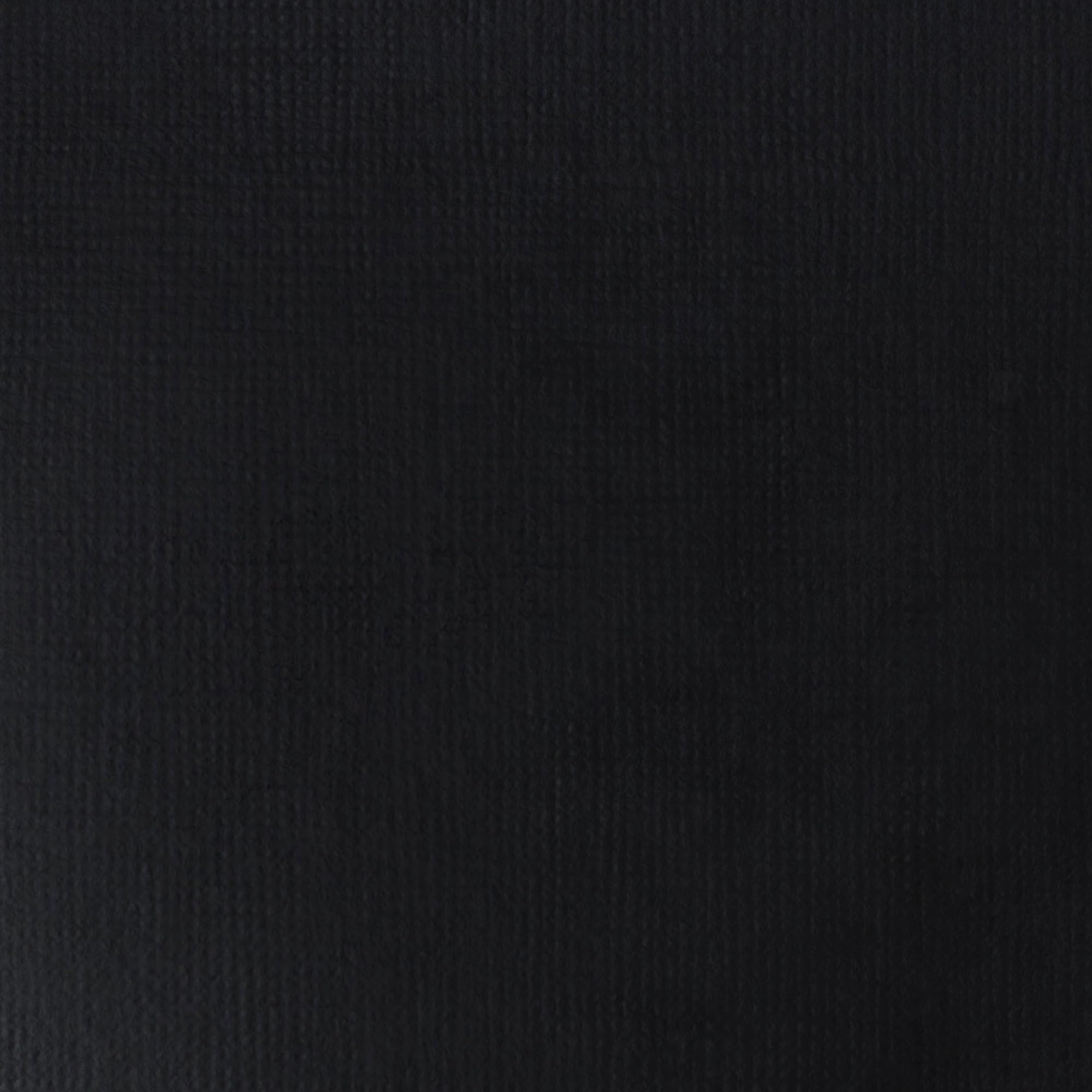 LIQUITEX Basics Acrylic Paint, Mars Black, 118 ml Tube - 3