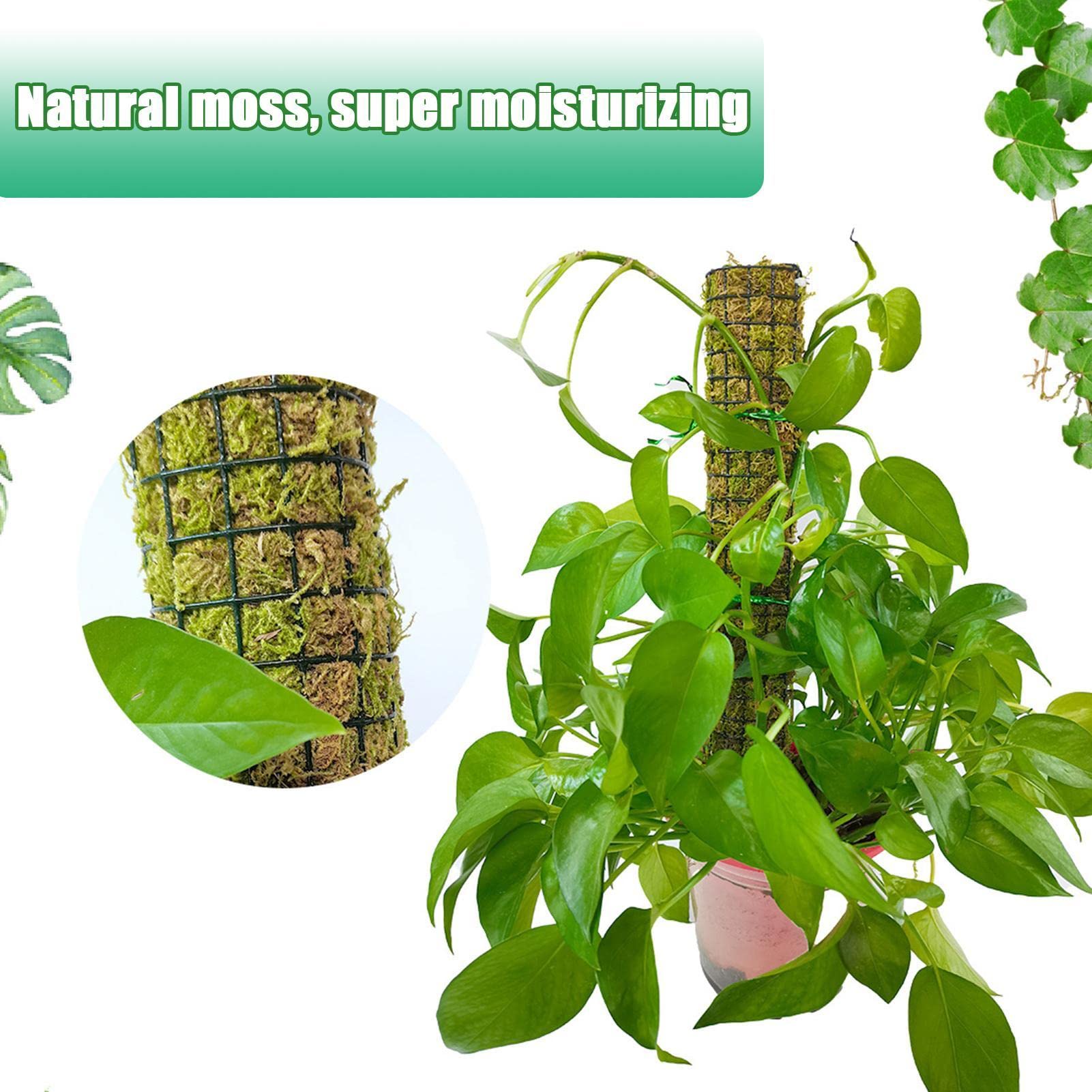 Moosstangen für Kletterpflanzen - Stapelbare selbstbewässernde Moosstäbe für Zimmerpflanzen - Monstera Plant Support zur Bereitstellung Einer hervorragenden Kletterumgebung für Pflanzen