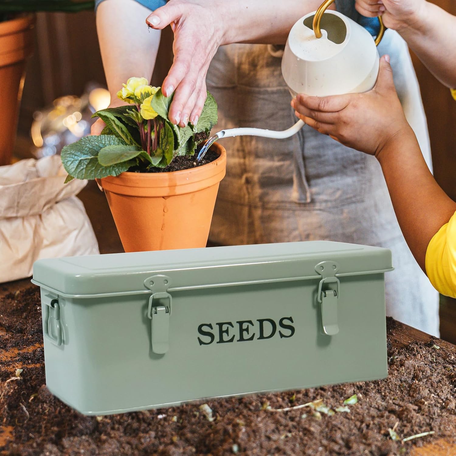 Garden Seed Box, Green Metal Seed Storage Box, Seed Storage Organizer Case with 4 Dividers, Seeds Packet Container for Gardening, Seed Envelope Storage Box with Portable Handle & Safety Lock
