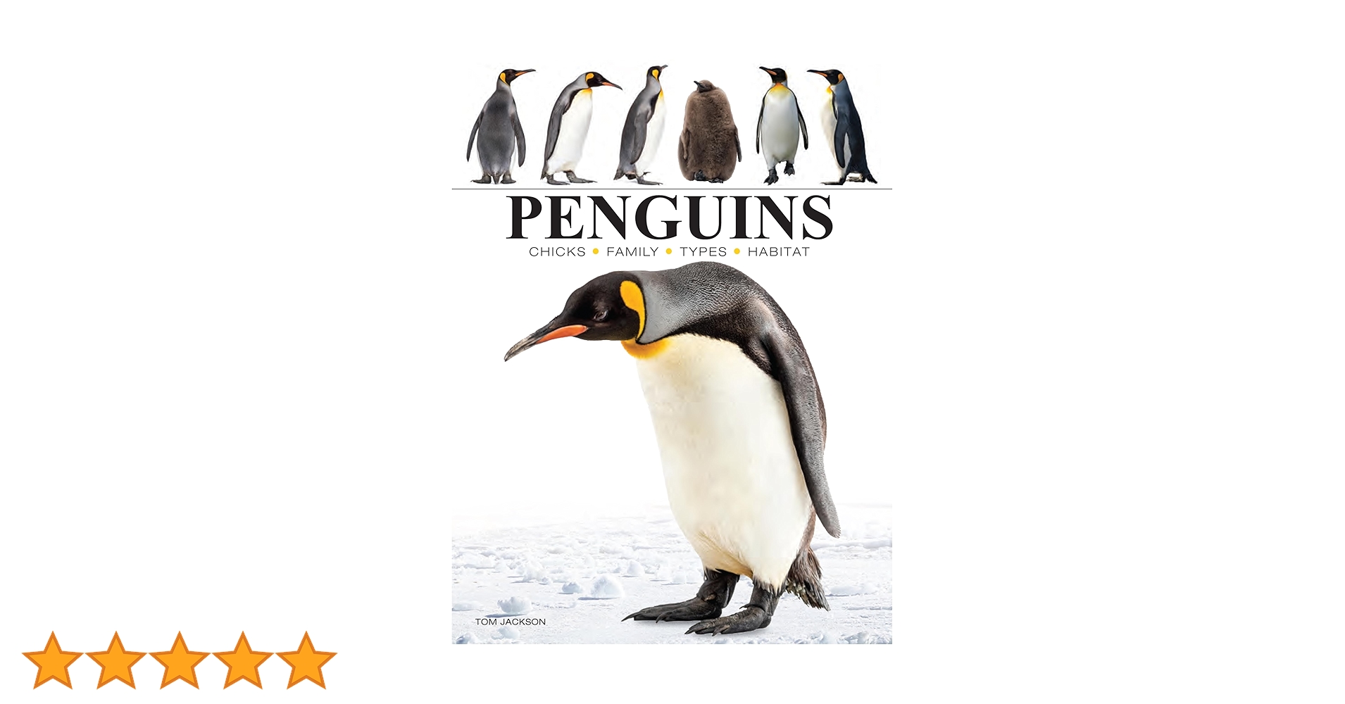 71Dlk-smH6L.jpg_BO30,255,255,