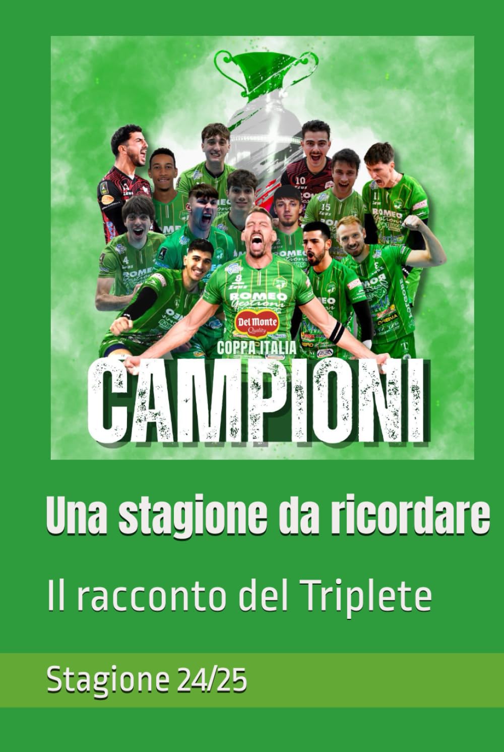 Una stagione da ricordare.: Il racconto del Triplete