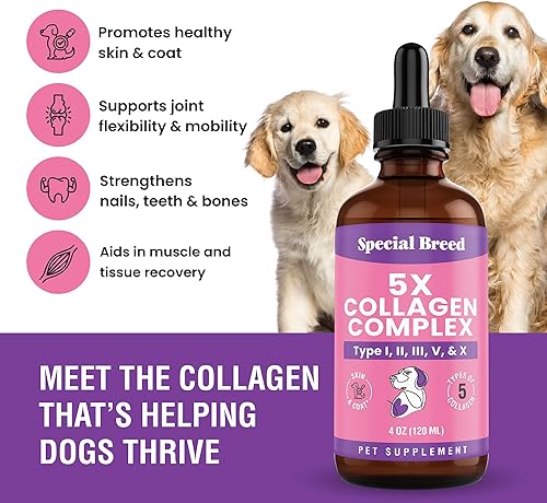 Miniatura 2 de Colágeno Premium para Perros - Soporte Líquido para Articulaciones, Piel, Pelaje, Hueso, Sistema Inmunológico y CADERAS - Suplemento de Colágeno -