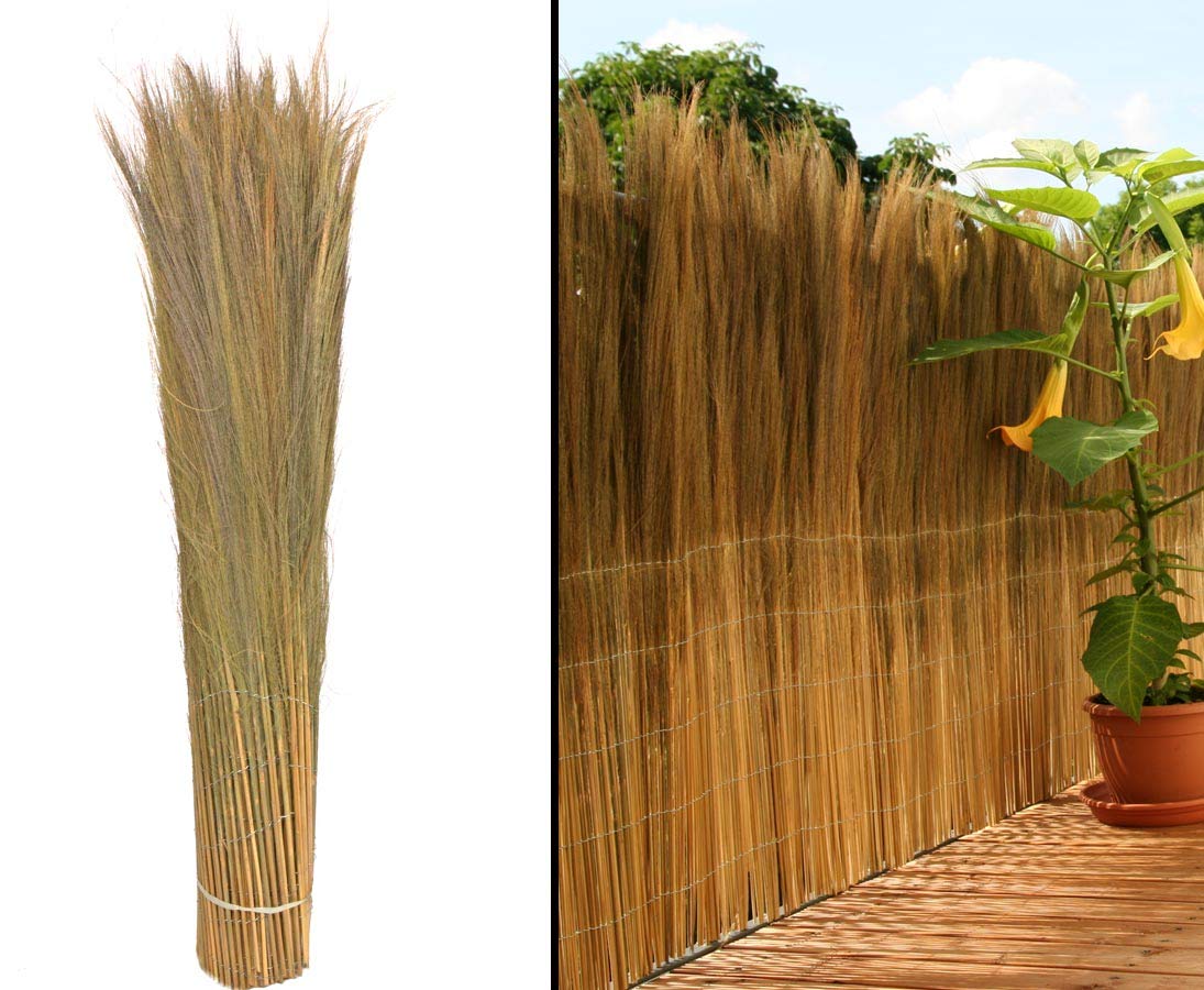 bambus-discount.com Osłona balkonu Model California 100 x 300 cm Farnmatta z kwiatami i wawrzynami 1m x 3m