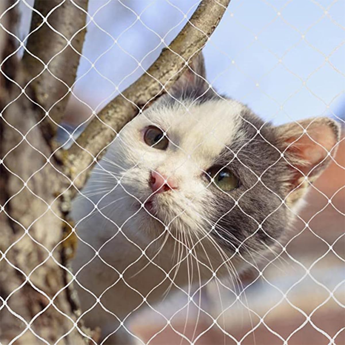 Sarini Protezioni Reti per Gatti 6 X 3 M Protezioni in Filo di Nylon di plastica Reti anticaduta di Sicurezza per Gatti?; Animali Domestici per Proteggere Le finestre del Balcone