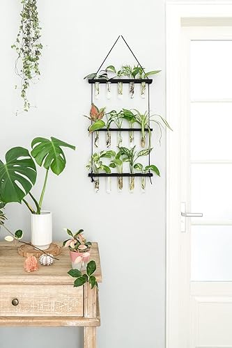 Miniatura 16 de Mkono Tubos de propagación de plantas, terrario colgante de pared de 3 niveles con soporte de madera, mini tubo de ensayo, florero de flores, Marrón