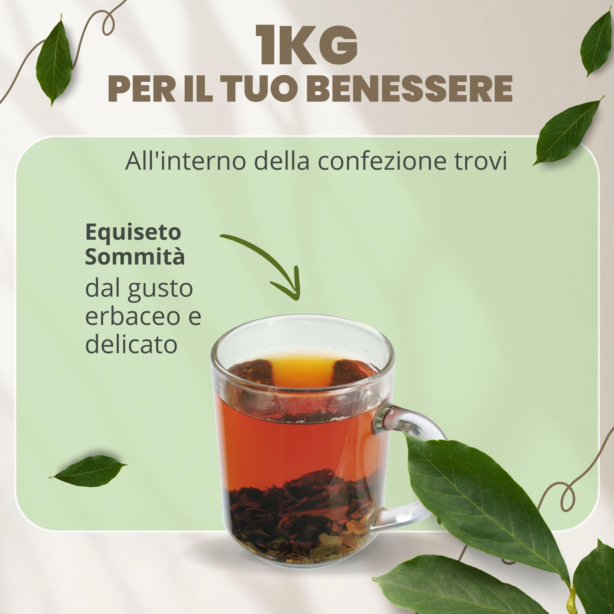 PATRIZIO BRESEGHELLO - Sommità di Equiseto per Depurazione del Corpo 1 kg - Tisana Drenante e Diuretica - Equiseto Naturale Senza Aromi Aggiunti