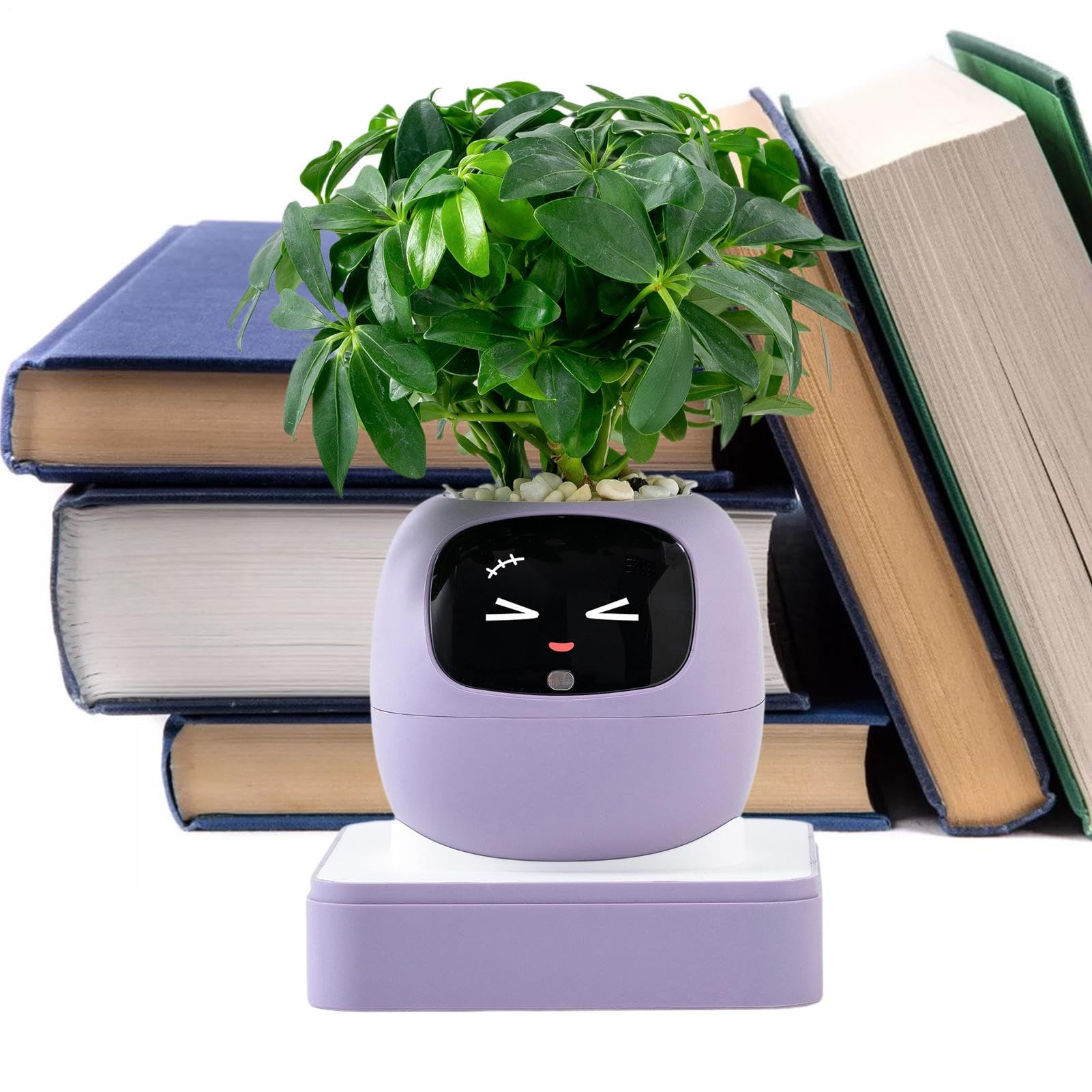 Vaso Intelligente Per Piante Assistente IA per la Cura delle Piante in Vaso
