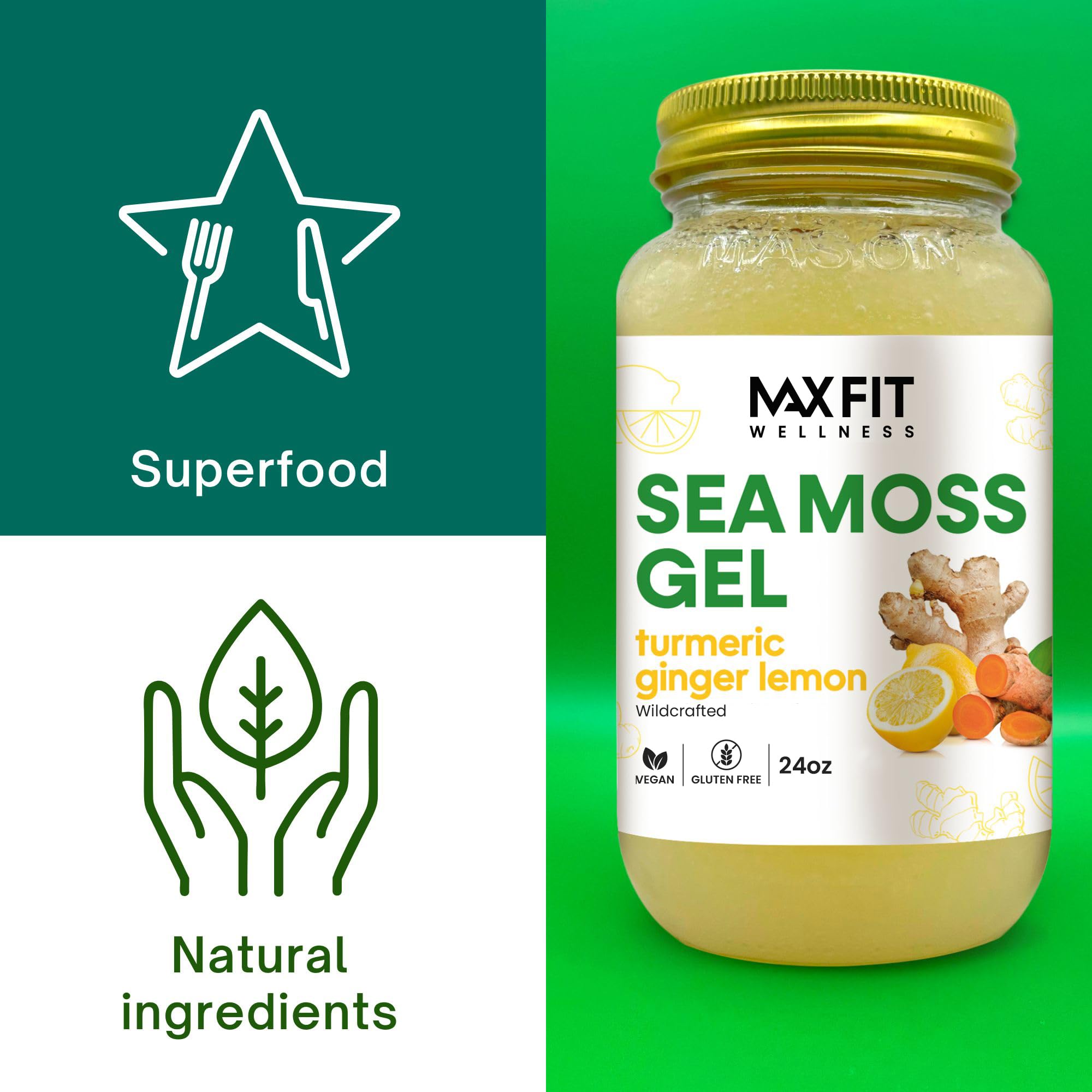 Amazon.com : MAX FIT Sea Moss Gel Turmeric Ginger Lemon (25