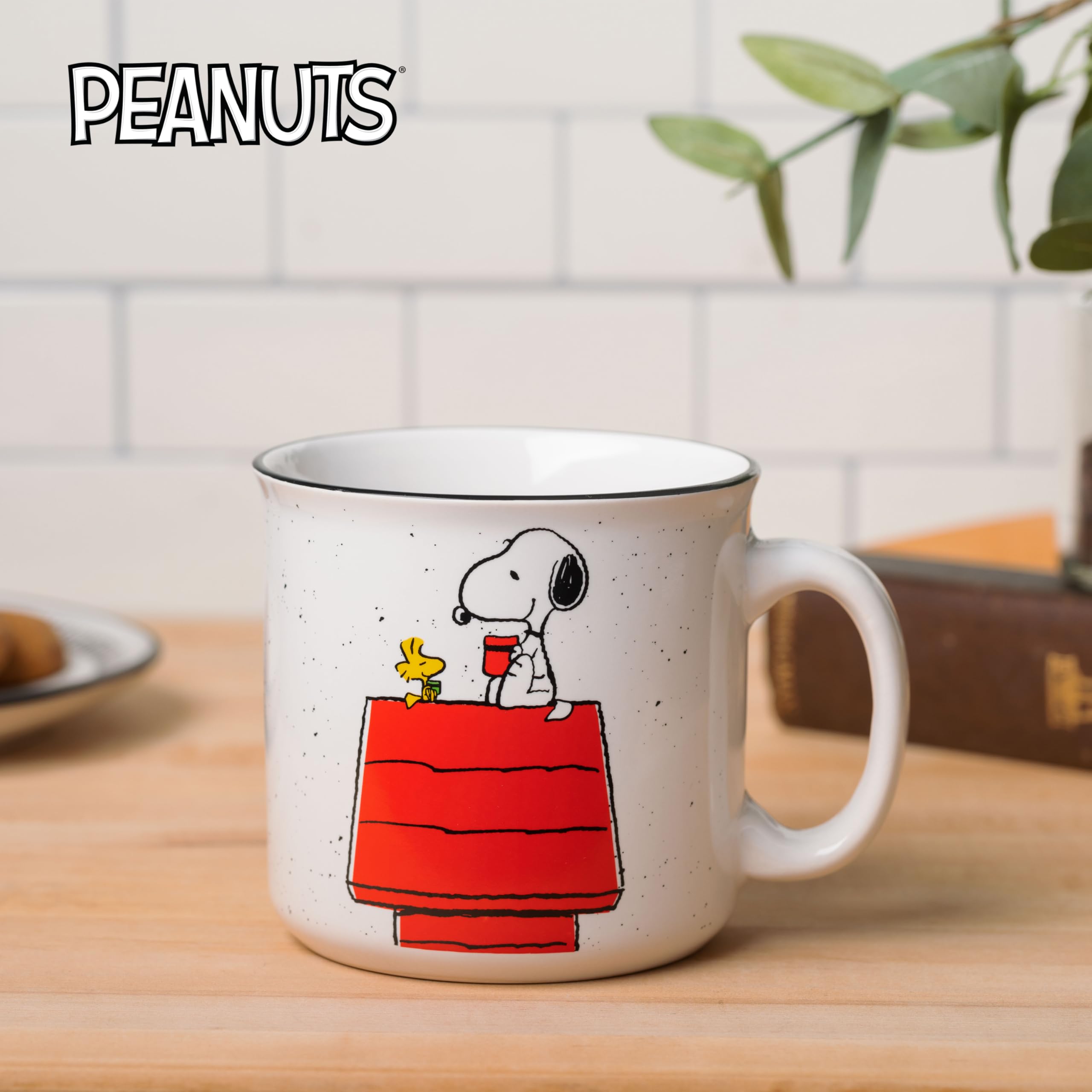 Amazon.com | Silver Buffalo Peanuts Snoopy and Woodstock Get Cozy